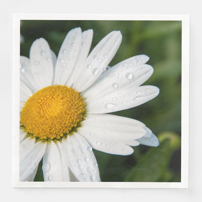 photo, une margueritte, font vert pappersservett (Framsida)
