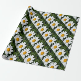 photo, une margueritte, font vert presentpapper