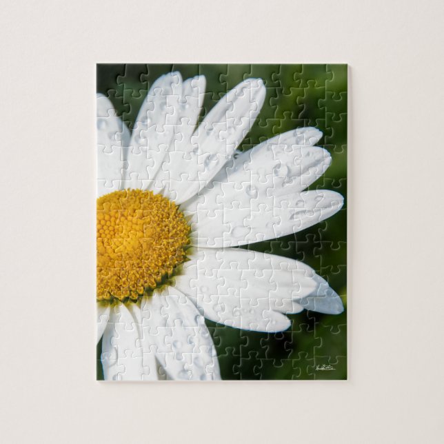 photo, une margueritte, font vert pussel (Vertikal)