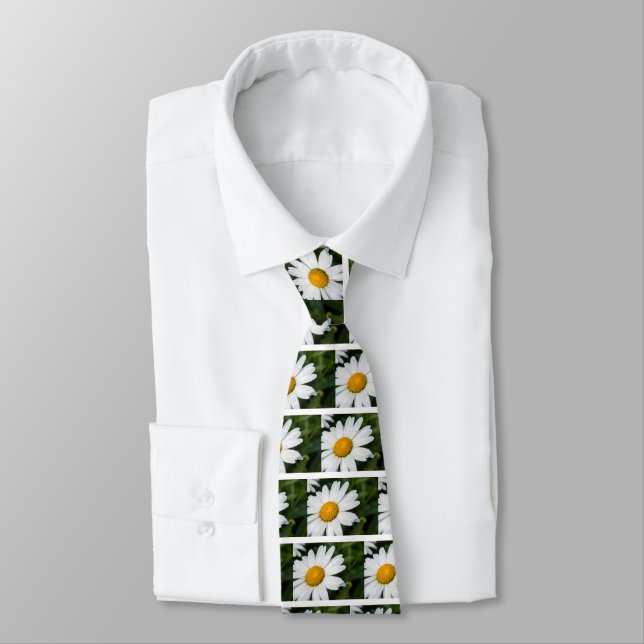 photo, une margueritte, font vert slips (Bunden)