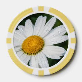 Photo une margueritte, goutte d'eau, font vert poker marker