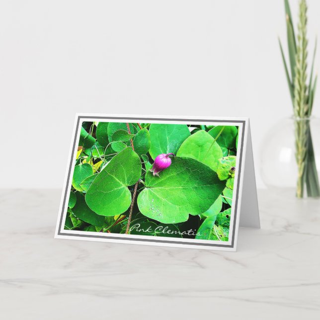 Photo Vibrant Rosa Clematis och Grönt Foliage Card Kort (Framsida)