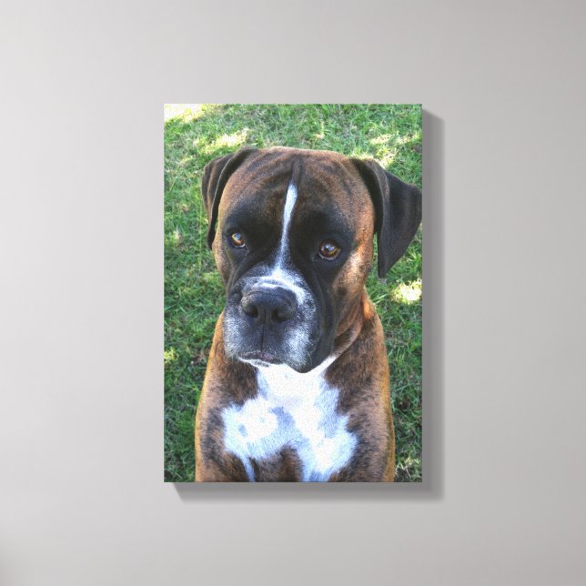 Photo Wall Canvas för Brindle Boxer-Hund (Framsida)