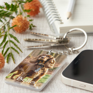 Photo & Watercolor Cocker Spain Personalize