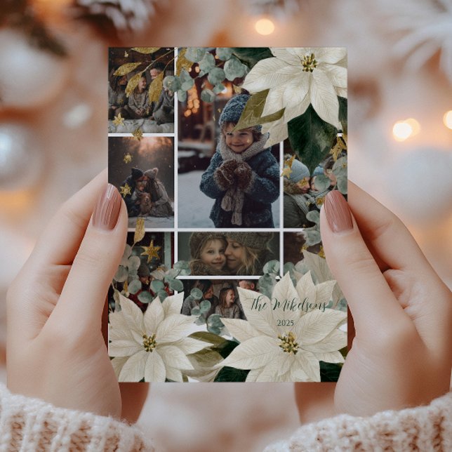 Photo White Poinsettia Julfest Julkort (Skapare uppladdad)