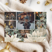 Photo White Poinsettia Julfest