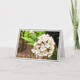 Photo White Viburnum Rosa Buds and Grönt Foliage Kort