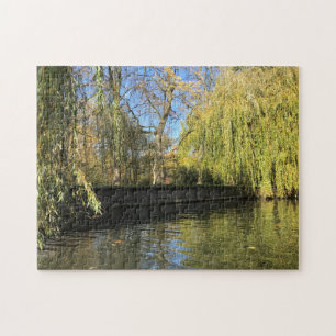 Photo Willow Träd River Reflection Pussel