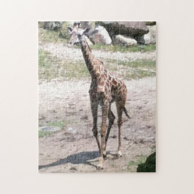 Photo Young Giraffe Walking Jigszles Puzzles Pussel (Vertikal)