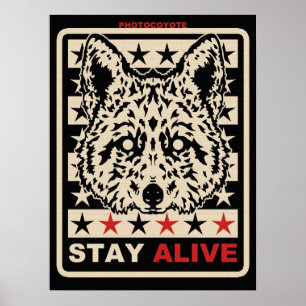 Photocoyote affisch 2014 1