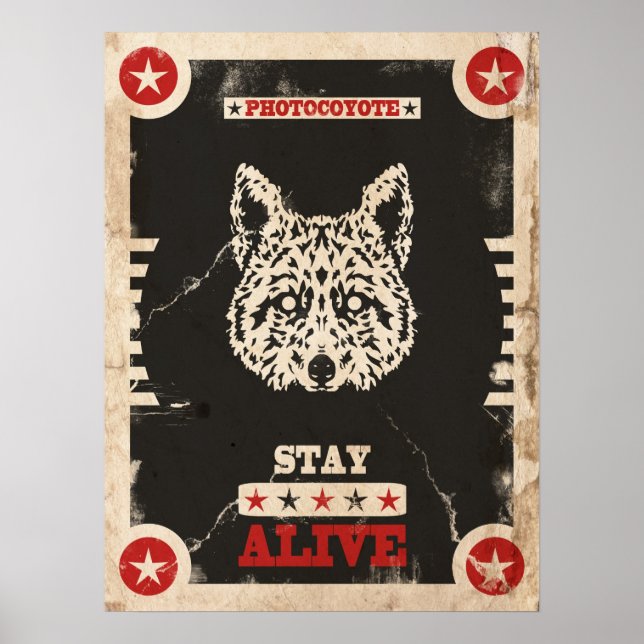 Photocoyote poster 2014 3 (Framsidan)