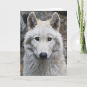 PHOTOGRAFI BIRTHDAY-KORT FÖR VITA VARGER KORT