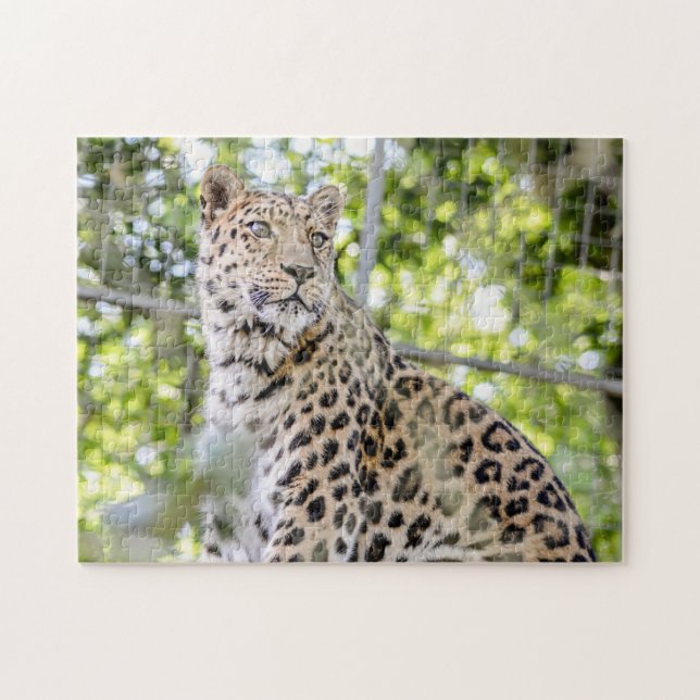 Photograph Bevacker Amur Leopard Greenery Pussel (Horisontell)