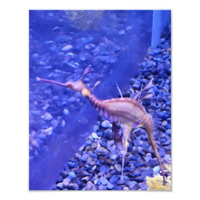 Photograph #Y040 on MEDIUM SIZE Poster (Framsidan)