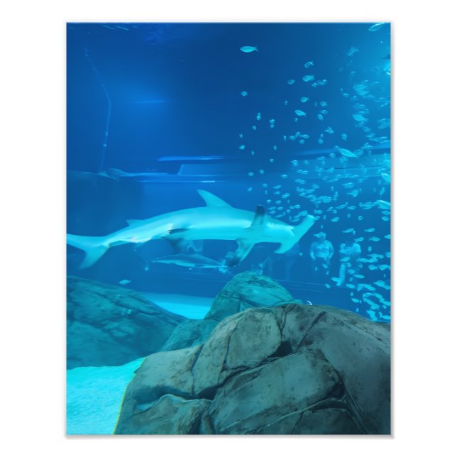 Photograph #Y044 on MEDIUM SIZE Poster (Framsidan)