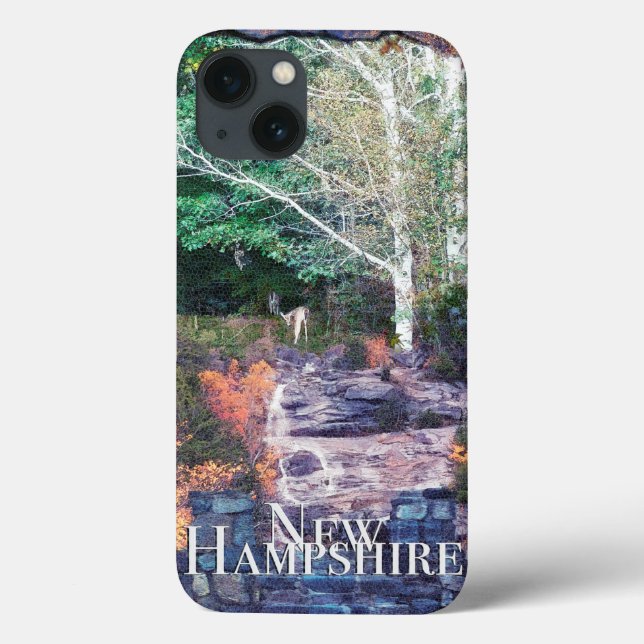 Photoshop New Hampshire (Baksida)