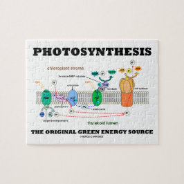 Photosynthesis den original- gröna energikällan pussel