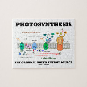 Photosynthesis den original- gröna energikällan pussel