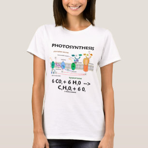 Photosynthesis (koldioxid + Vatten) Tee