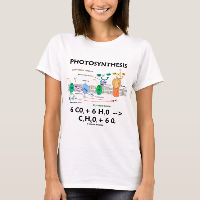 Photosynthesis (koldioxid + Vatten) Tee (Framsida)