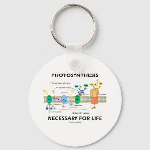Photosynthesis som är nödvändig för liv nyckelring