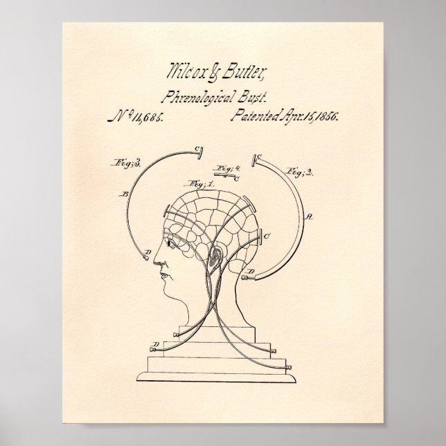 Phrenological Bust 1856 Patent Art Old Peper Poster (Framsidan)