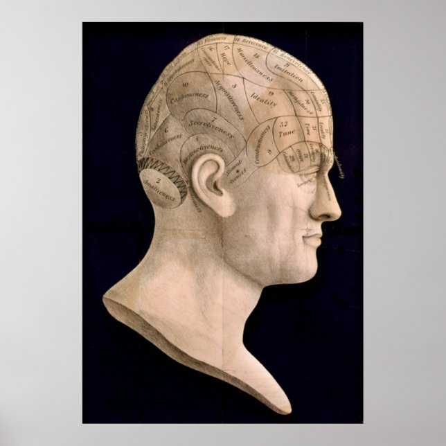 Phrenology 1834 poster (Framsidan)