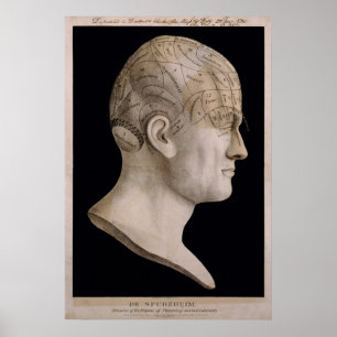 Phrenology för Dr. Spurzheims kartlägger Poster