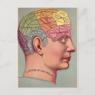 Phrenology Head i Färg Vykort