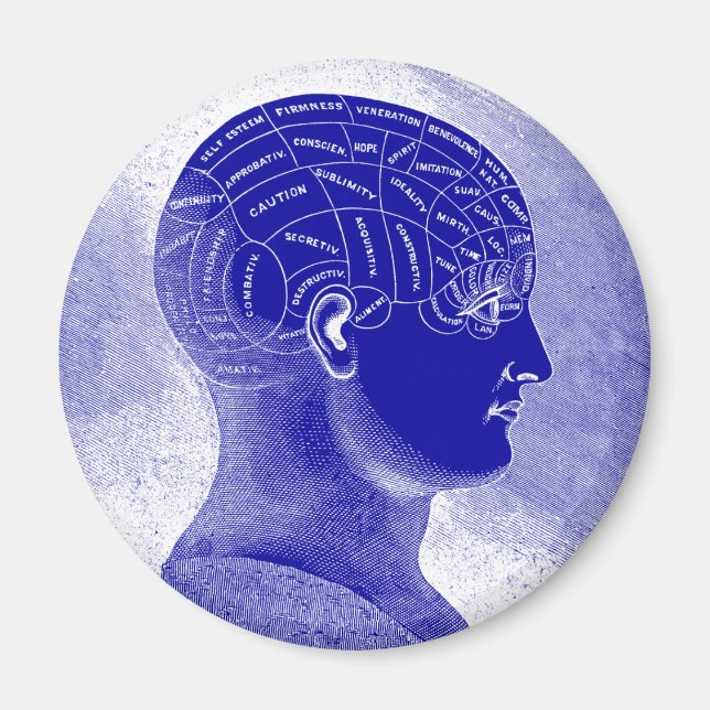 Phrenology Head Magnet (Framsidan)