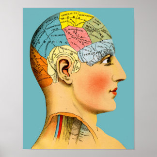 Phrenology Head Poster