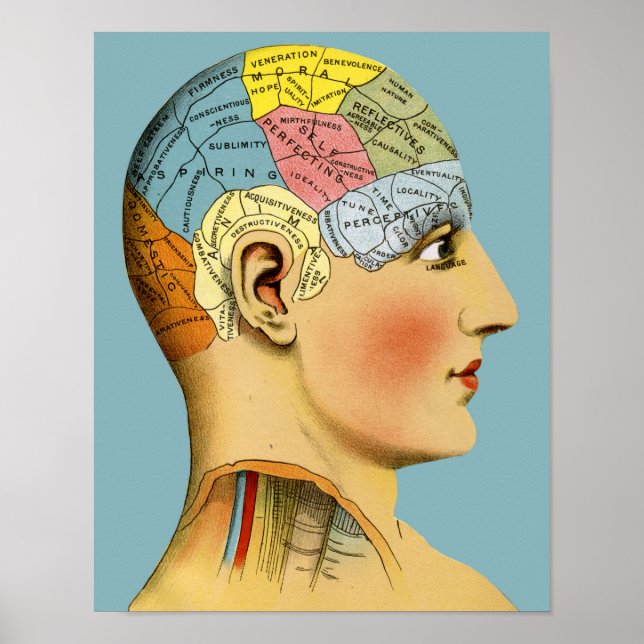 Phrenology Head Poster (Framsidan)