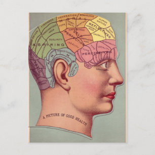 Phrenology Karta för Bra Health Vykort