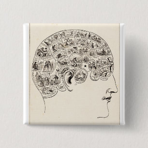 Phrenology Knapp