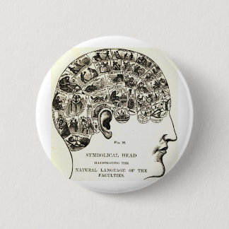 Phrenology Knapp