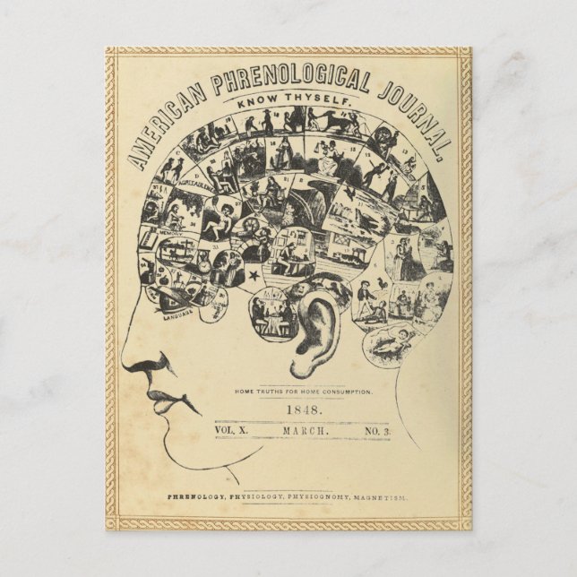 Phrenology: Know Thyself (vycard) Vykort (Framsida)