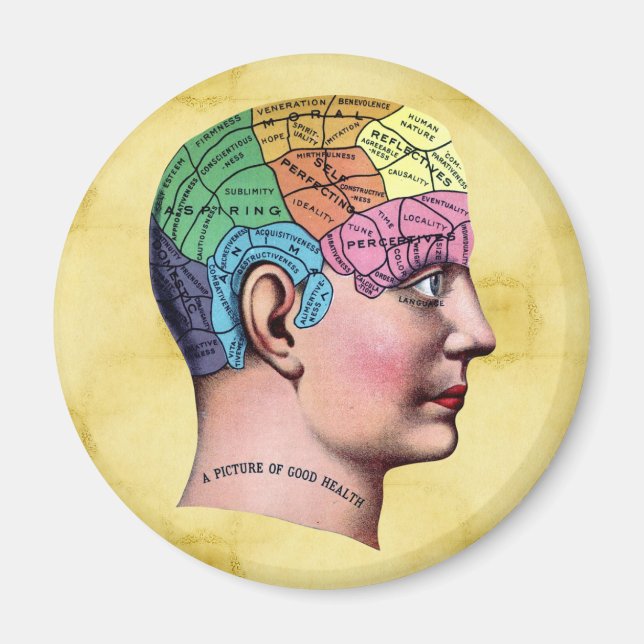 Phrenology Magnet (Framsidan)