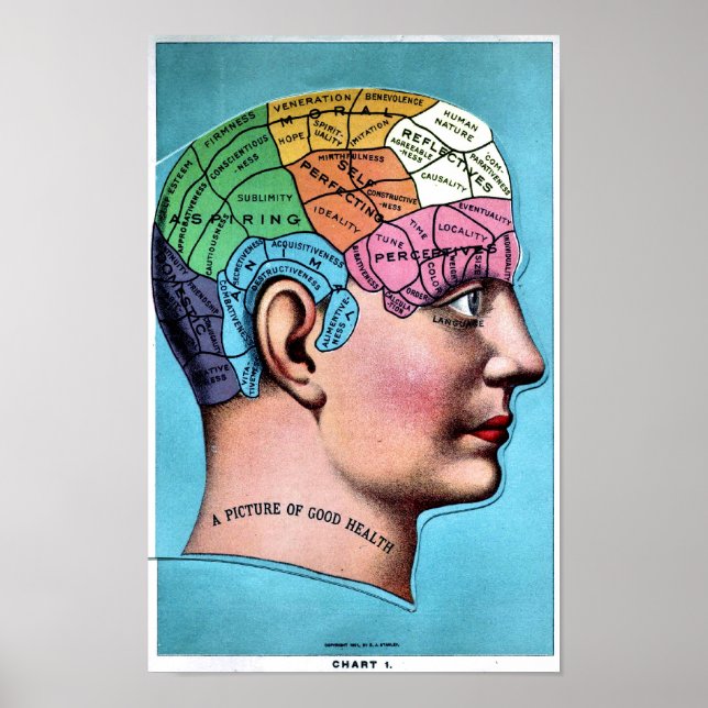 Phrenology Poster (Framsidan)