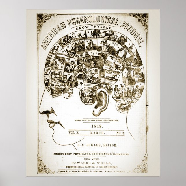 Phrenology Poster (Framsidan)