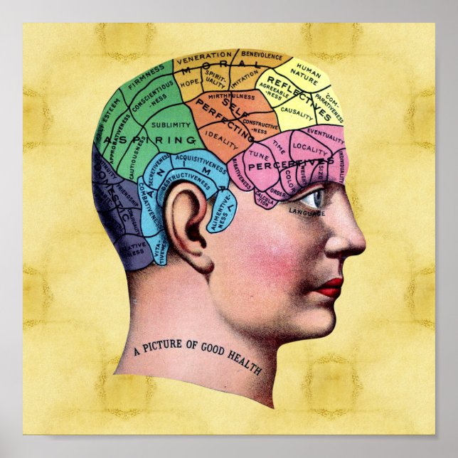 Phrenology Poster (Framsidan)