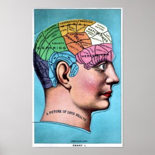 Phrenologyaffisch Poster