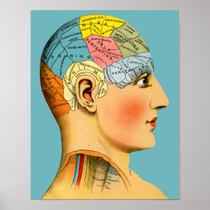 Phrenologyhuvud Poster