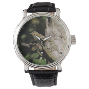 Phylloscopus collybita armbandsur