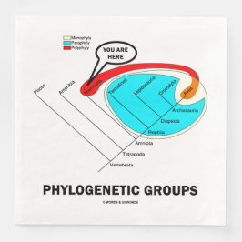 Phylogenetic Groups (Mammalia) You Are Here Pappersservett