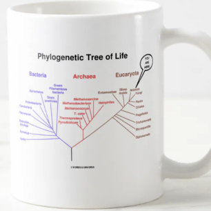 Phylogenetic livets träd - du är här (biologi) kaffemugg