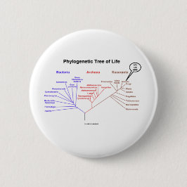 Phylogenetic livets träd - du är här (biologi) knapp