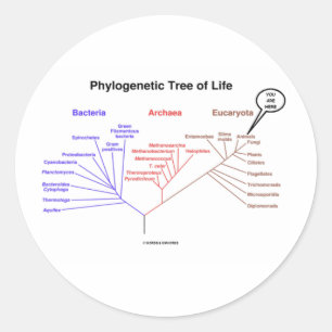 Phylogenetic livets träd - du är här (biologi) runt klistermärke