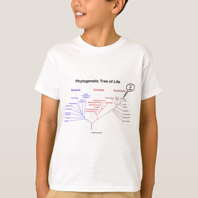 Phylogenetic livets träd - du är här (biologi) tröja (Framsida)