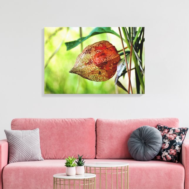 Physalis alkekengi canvastryck (Insitu (Vardagsrum))