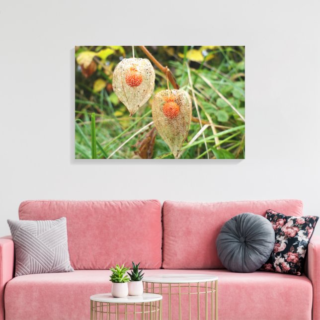 Physalis alkekengi canvastryck (Insitu (Vardagsrum))